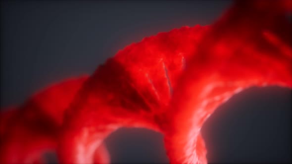 Loop Double Helical Structure of Dna Strand Close-up Animation alt