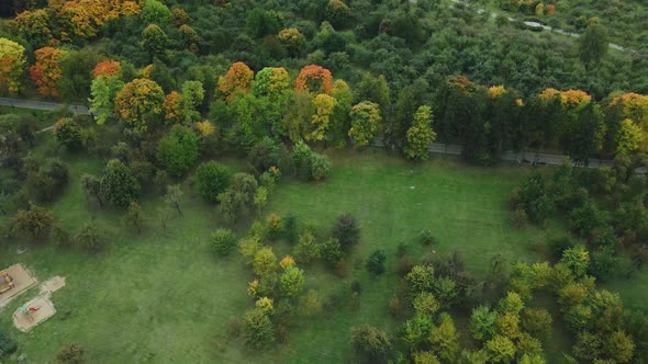 Flight over the autumn park in cloudy weather.