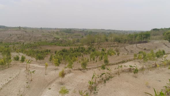 Agricultural Landscape in Indonesia