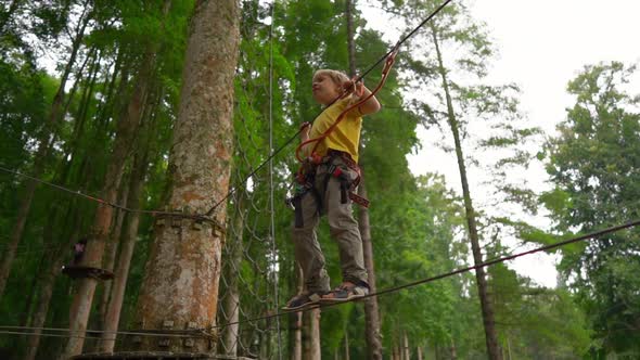 Slowmotion Shot of a Little Boy in a Safety Harness Climbs on a Route in Treetops in a Forest