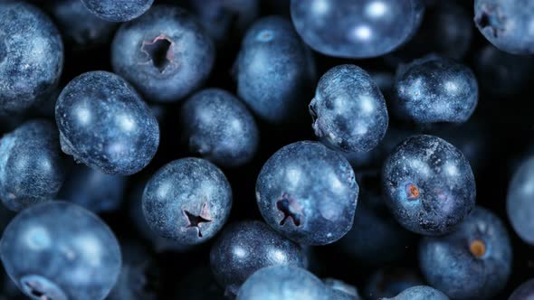 Super Slow Motion Shot of Flying and Rotating Fresh Blueberries at 1000Fps