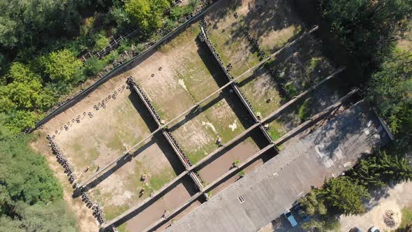 Shooting Range Top alt