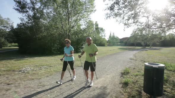 Accompany Senior Nordic Walking Couple Through Park Landscape