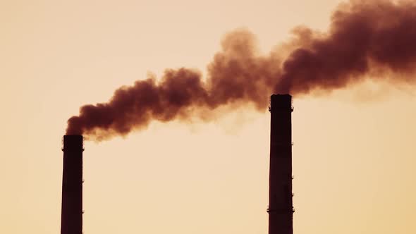 The steaming tube or pipe of the plant, factory or thermal power station 