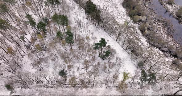 Aerial view of nature area Witte Veen with snow, Twente, Overijssel, Netherlands.