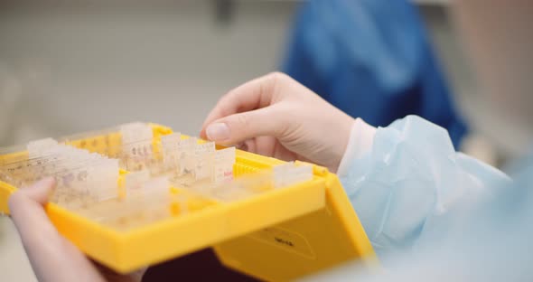 Scientist Is Looking at Plates with Bacteria at Laboratory