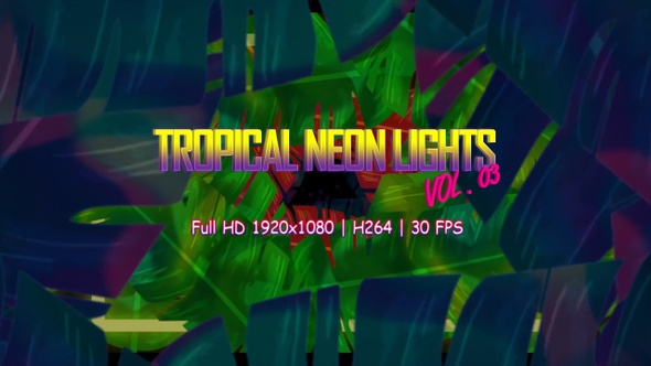 Tropical Neon Lights Vol. 03 VJ Loop