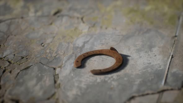 One Old Rusty Metal Horseshoe