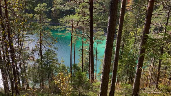 Forest with the beautiful Eibsee lake in Bavaria behind, with turquoise water, very close to the Zug