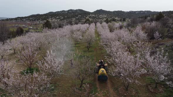 Spraying Tree