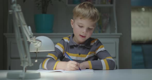 Elementary Age Child Studying Online at Home