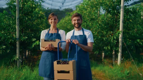 Entrepreneur Couple Holding Harvest Cherry Box in Modern Agriculture Plantation