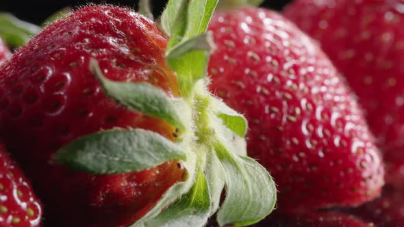 Big red strawberries panoramic view