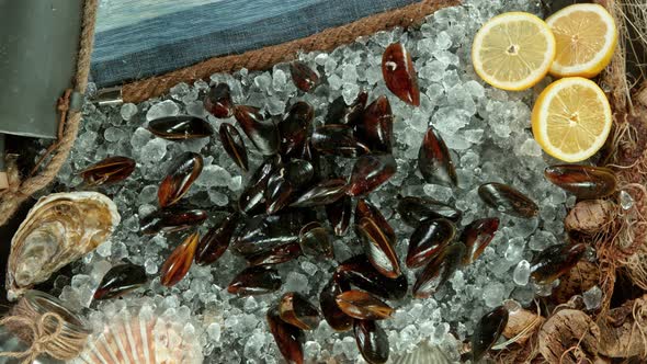 Super Slow Motion Shot of Falling Fresh Mussels Into Crushed Ice at 1000 Fps