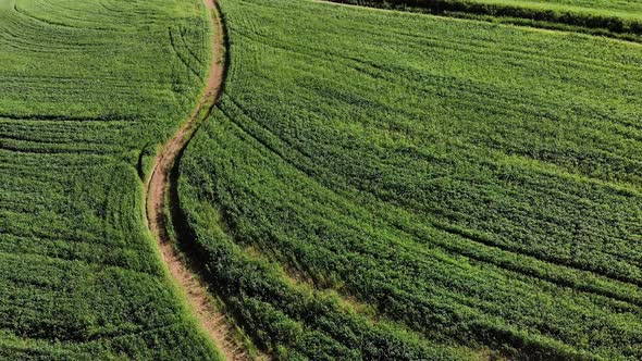 General view of countryside landscape, drone view