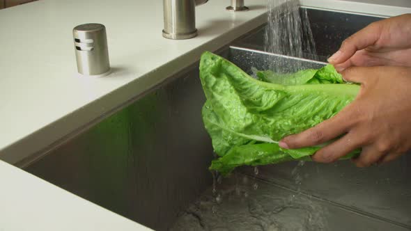 Washing Lettuce Slow Motion