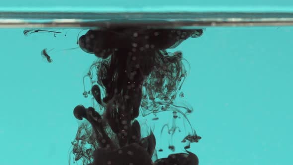 A Lot of Black Ink Floating in Clear Water with Swirls