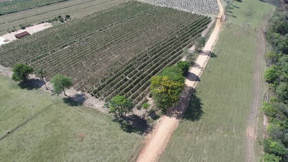 Rural landscape aerial view. Nature scenery