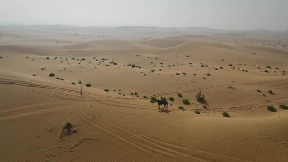 Aerial view of one person riding horse in the desert of Al Khatim in Abu Dhabi.