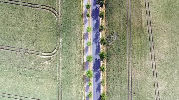 car on small country road alley street in cornfieldsWonderful aerial view flight drone shot footage