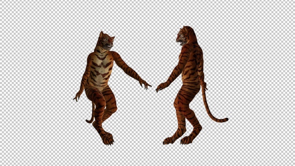 Tigerman Dance - Duo Loop - Alpha Channel alt
