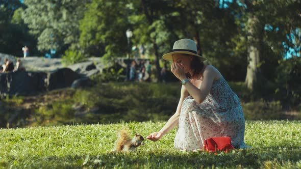 Attractive girl feeds a squirrel on the lawn 