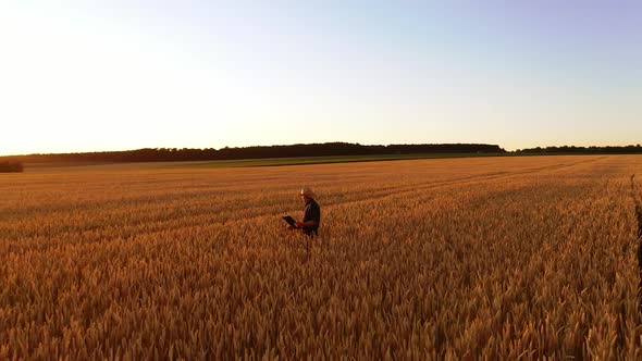 Farmer in farmland at sunset