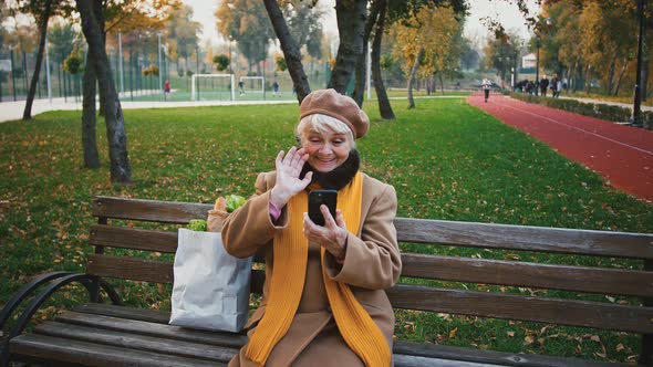 Aged Woman Making Online Video Call By Cellphone Waving Hand and Smiling Sitting on Bench in Autumn