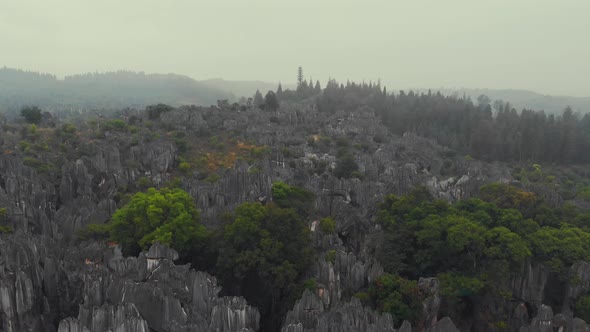 Rocks in Stone Forest