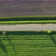 Road Among Green Fields and Meadows - VideoHive Item for Sale