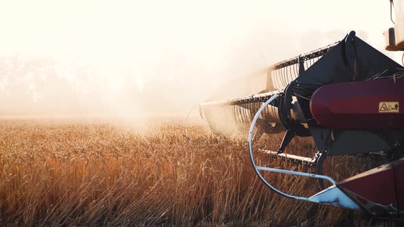 Wheat Harvest