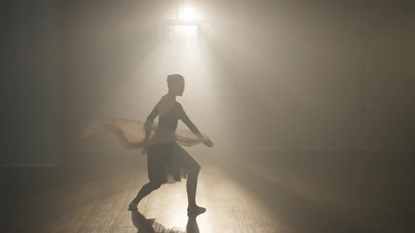 Silhouette of Slim Caucasian Ballerina Performing in Backlit Fog Stop Looking at Camera