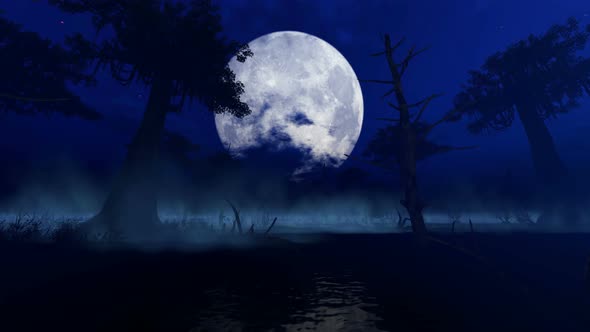 Spooky Foggy Forest On The Moonlight