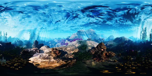 VR360 Bottom of the Ocean