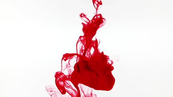 Color Ink in Water on White Background