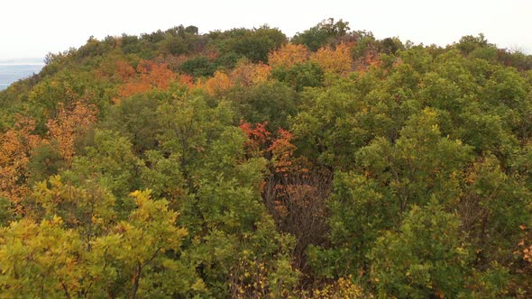 Flight Low Over  Autumn Forest And Old Asphalt Road