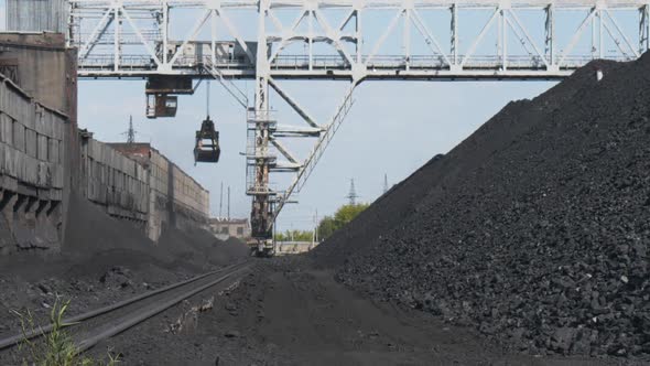 Harvesting and transshipment of coal using a crane at a thermal power plant.