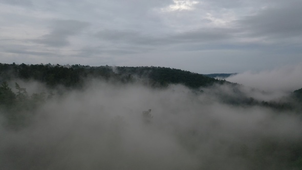 UHD 4K Aerial Forest with Fog | Rising Through Fog