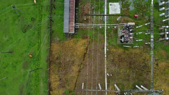 Cows Grazing By The Power Distribution Station