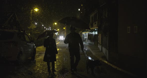 People with a dog walking on a street at night