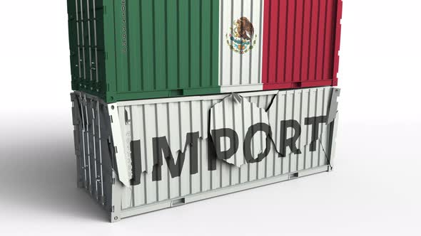 Container with Flag of Mexico Breaking Container with IMPORT Text alt