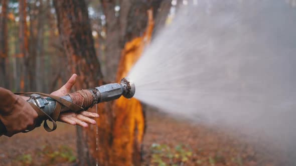 Men's Hands Hold a Fire Hose From Which Water Runs Under Pressure in Pine Forest