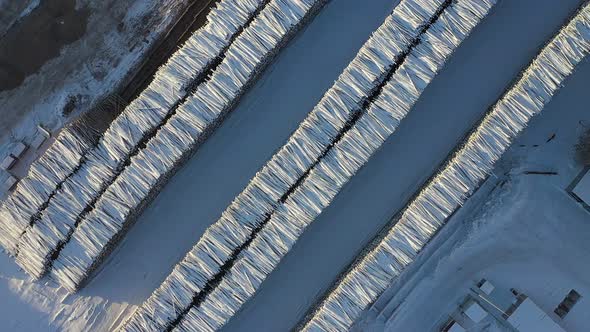 Long Stacks of Logs Lying on the Snow