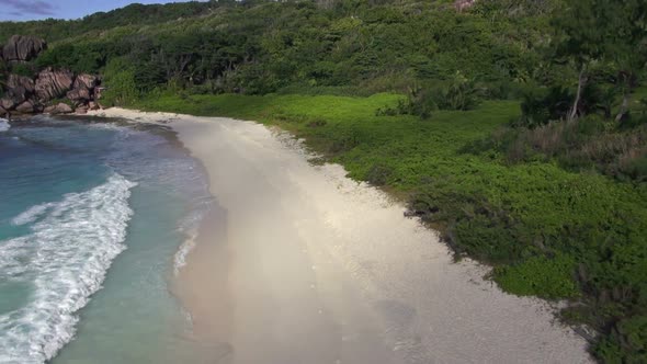 Aerial Beach and Lush Green Vegetation