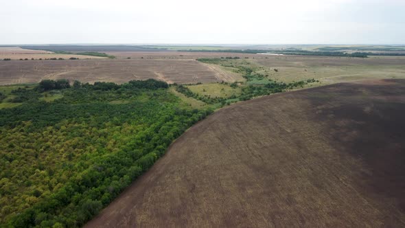 Wheat Fields Aerial View