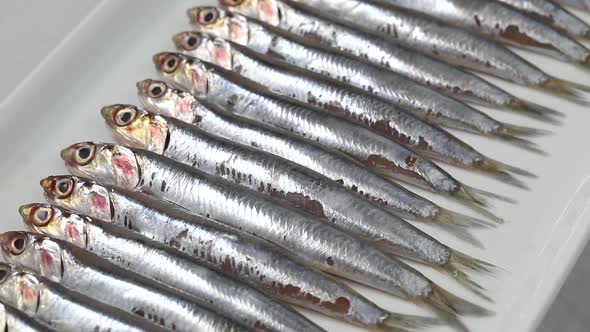 Row of fresh raw whole anchovy fishes on a dish 