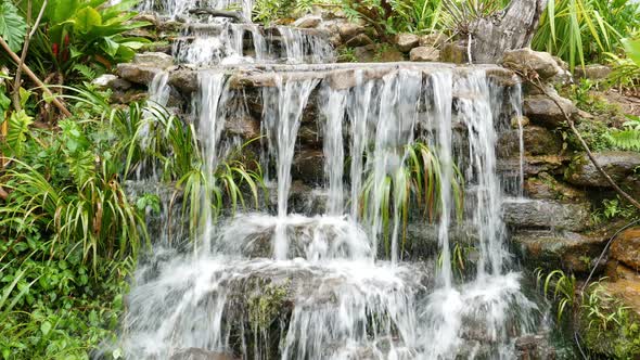 Waterfall in Garden