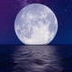 Big Moon on Horizon - VideoHive Item for Sale