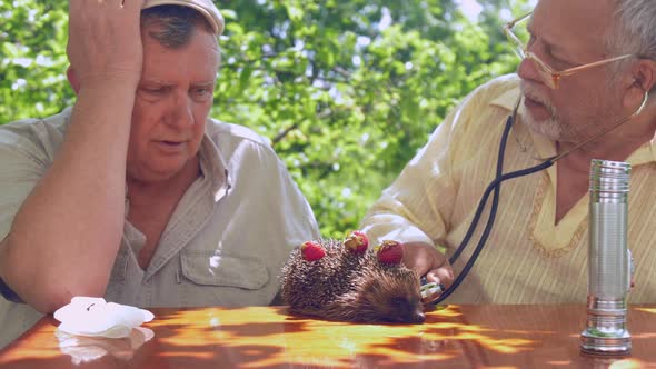 Eldery People Examine Hedgehog Sitting at Wooden Table