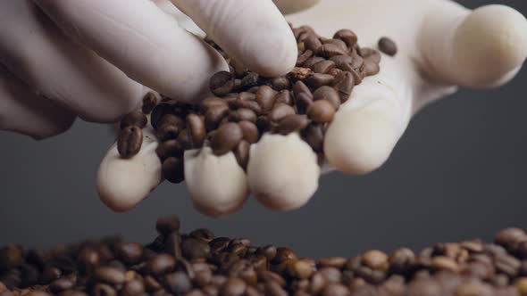 Coffee Seeds Lying Hand Close Up